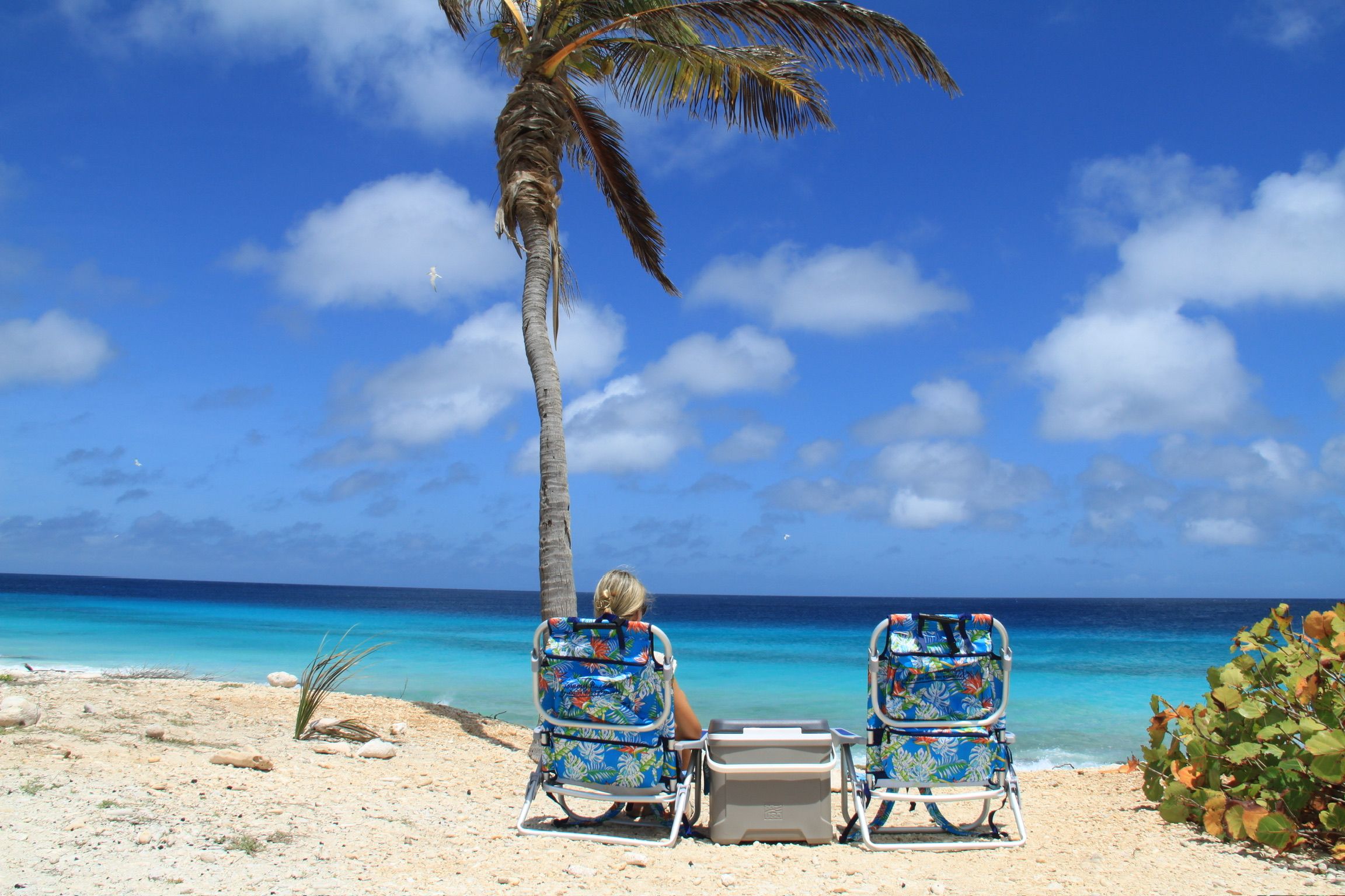 Strandstoelen en parasols klaar voor bezorging op een wit-zandstrand op Bonaire, turquoise water op de achtergrond