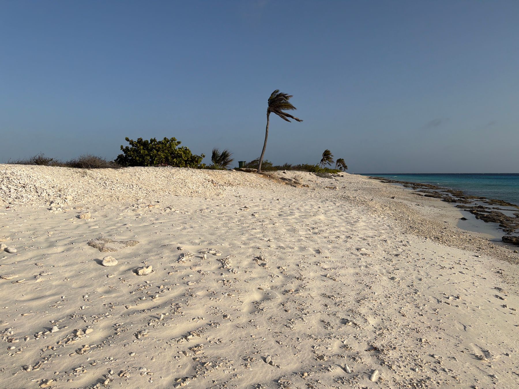 Pink Beach
