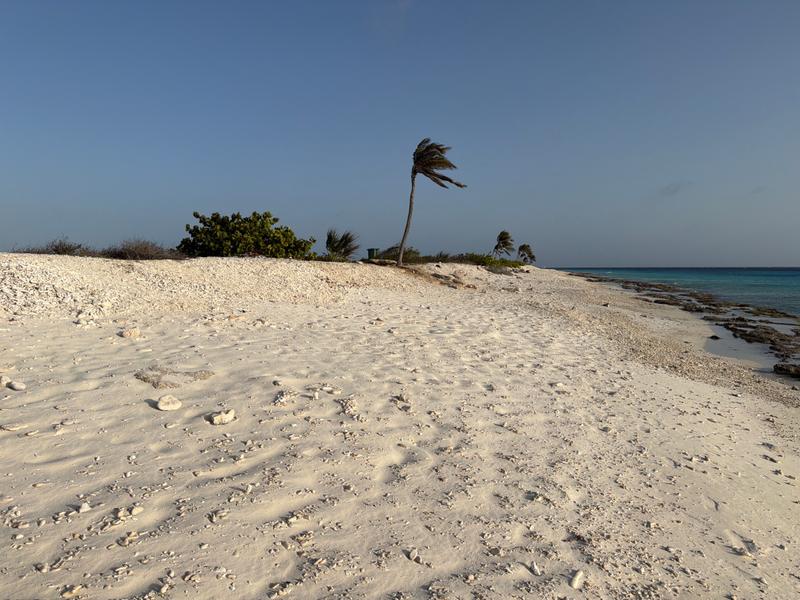 Pink Beach