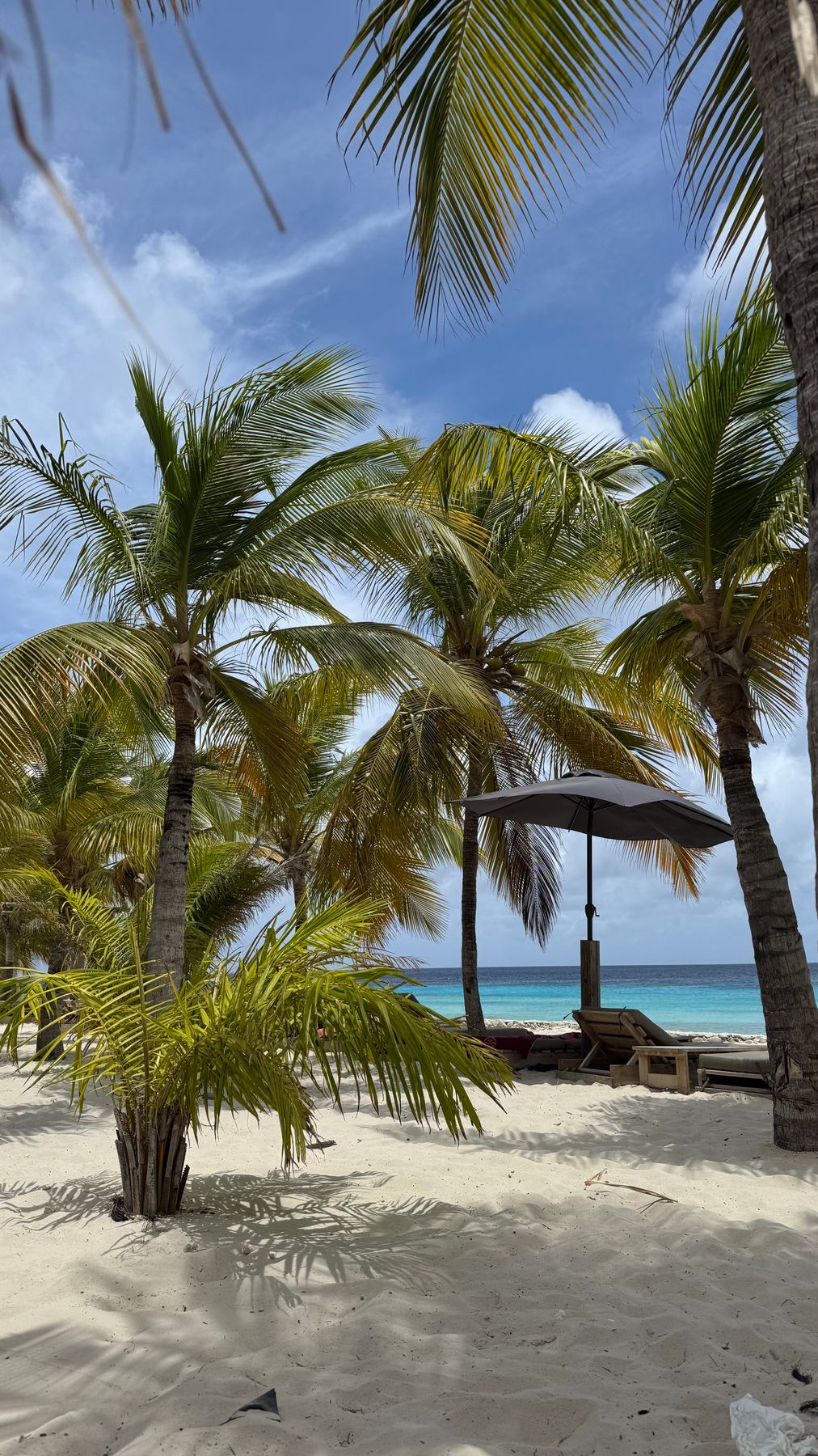 Delfins Beach Resort